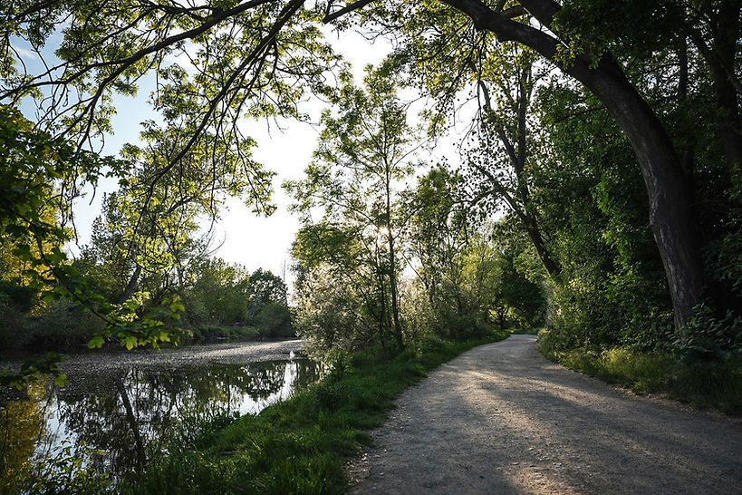 Weg am Wasser mit Bäumen und Sonnenstrahlen beim Megamarsch Hannover 25 km