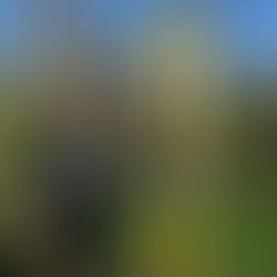 Mehr als nur schmerzende Beine