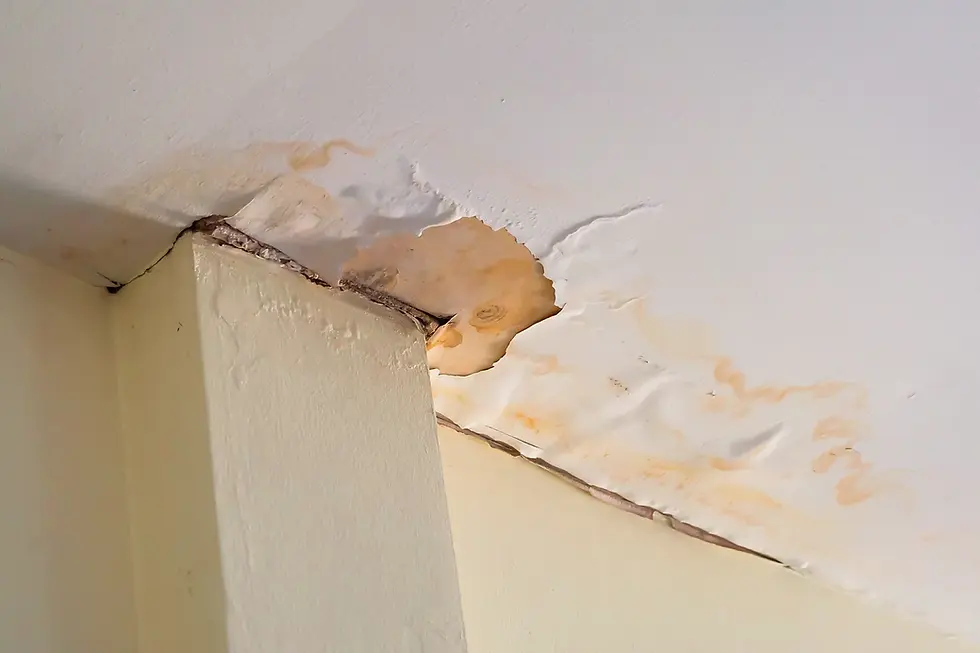 How to Find a Roof Leak