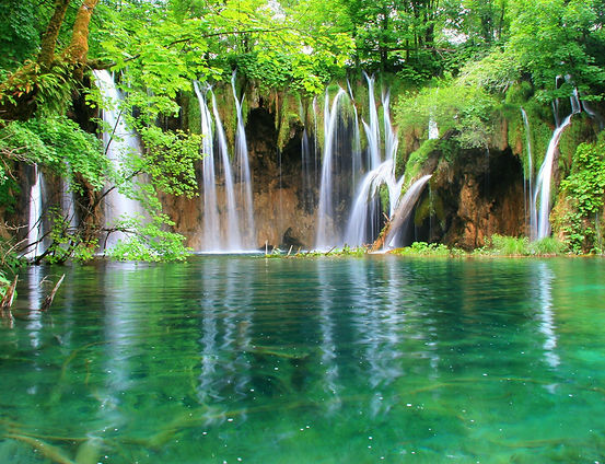 Naturaleza