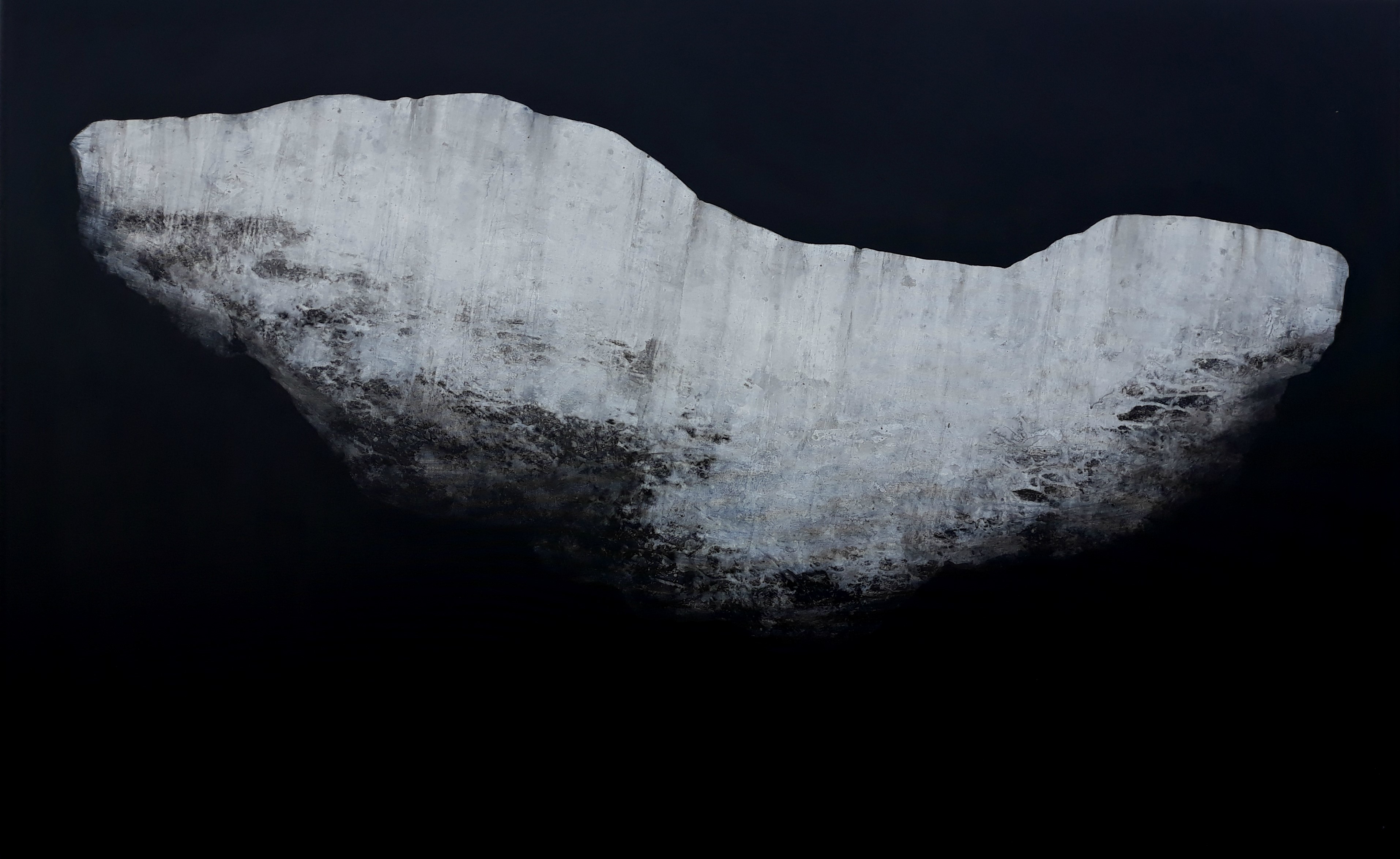 Panspermia 2.1, 2019