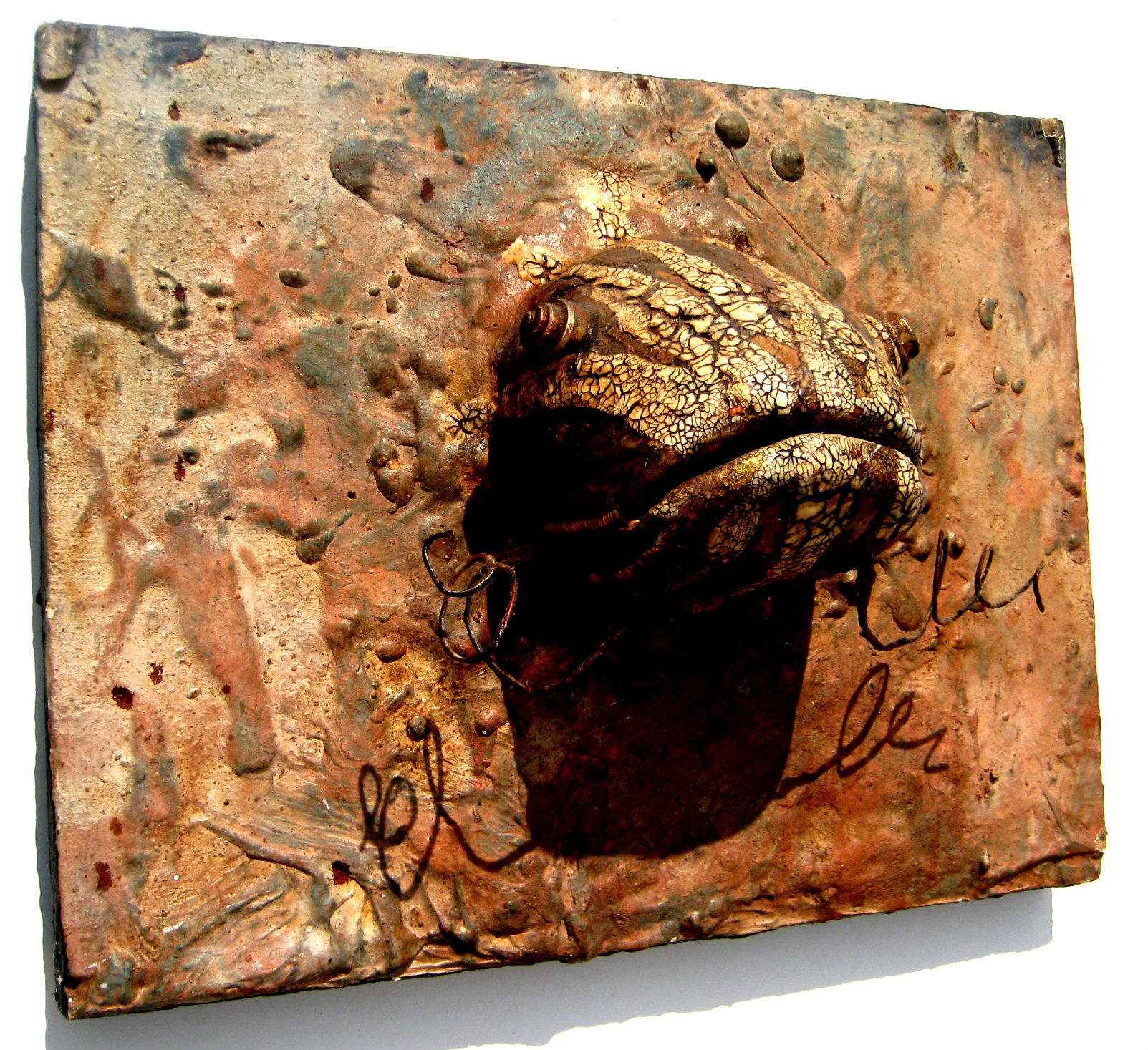 Cap, 2012
