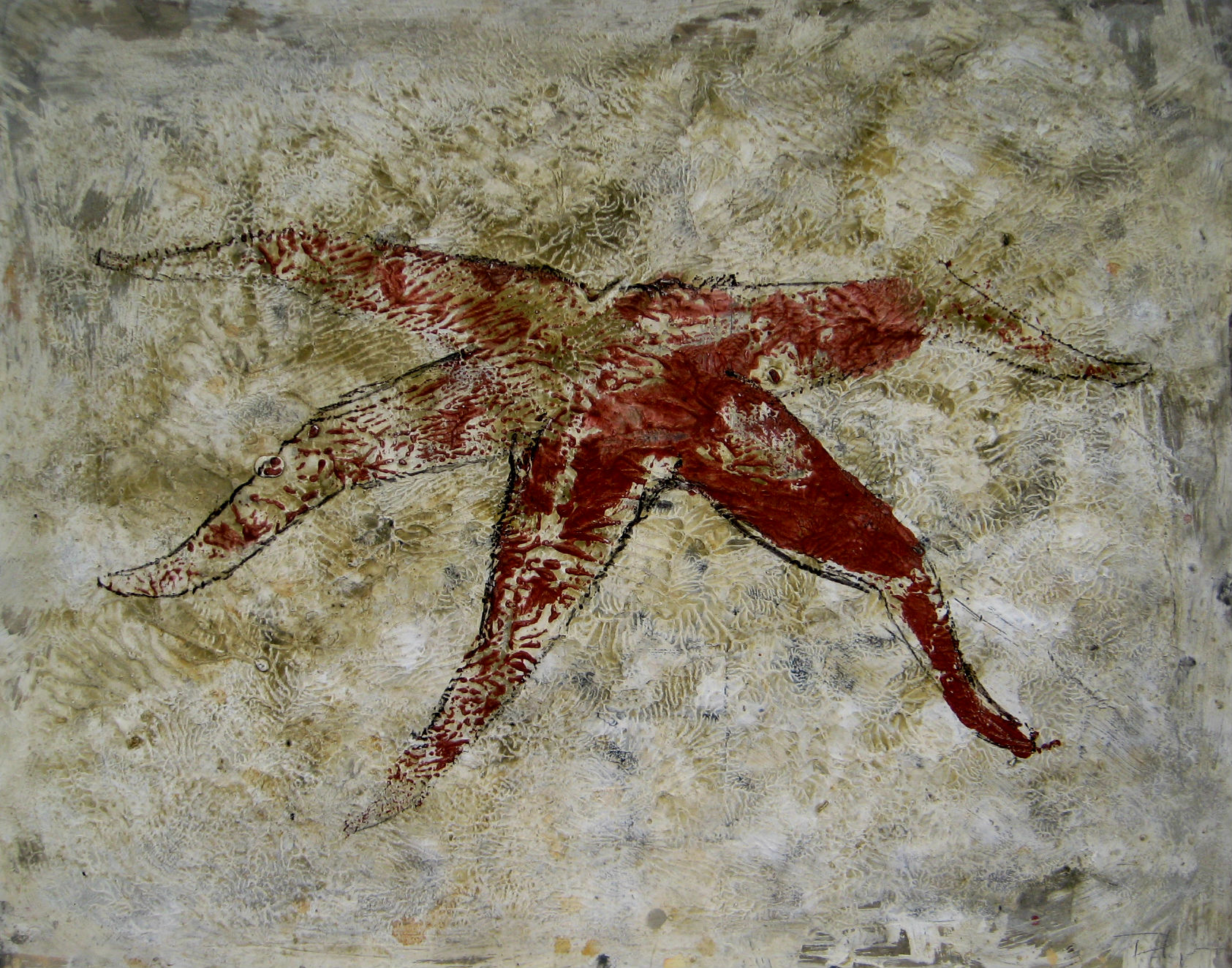 Estrella de mar, 2016