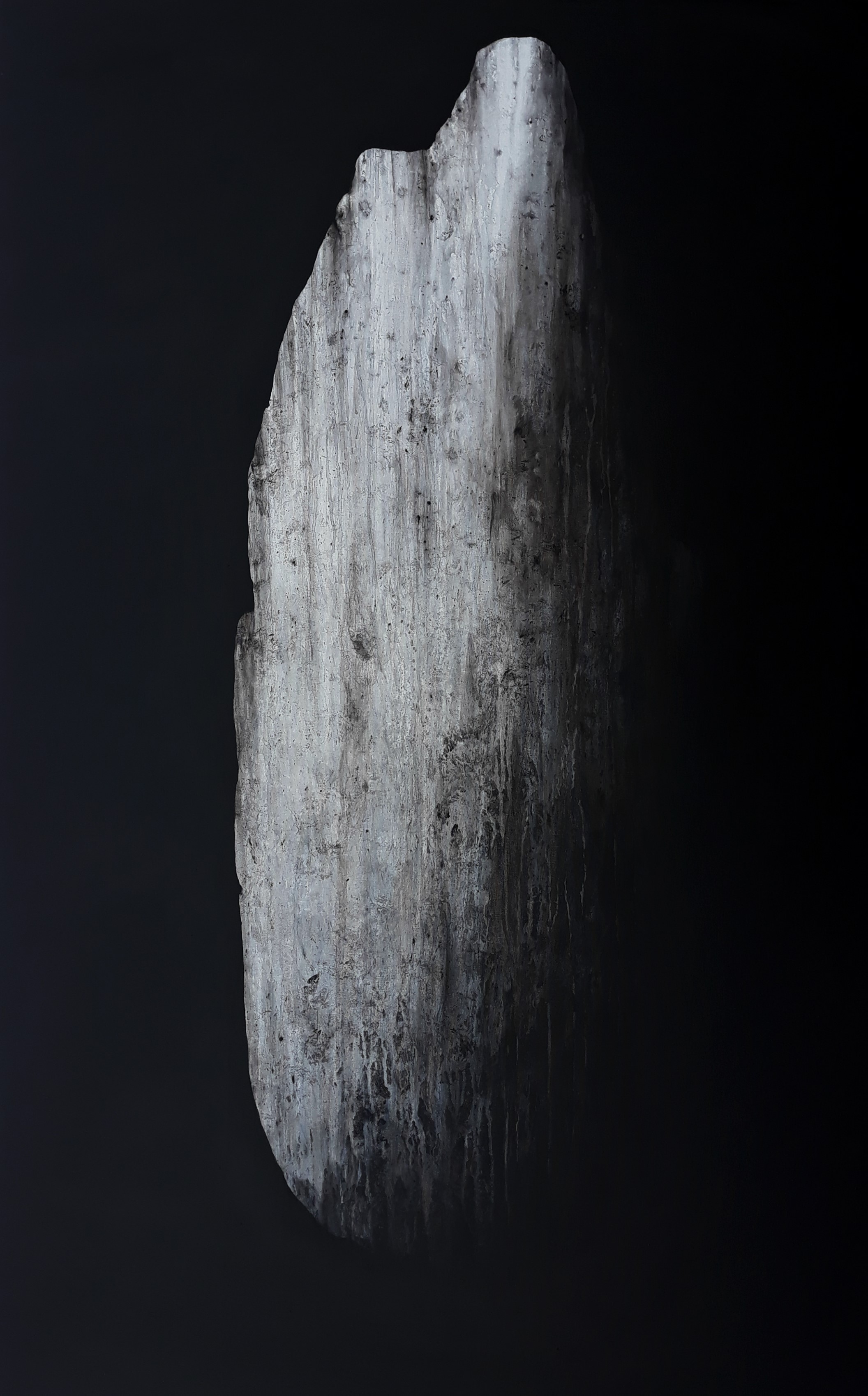 Panspermia 3.1, 2019