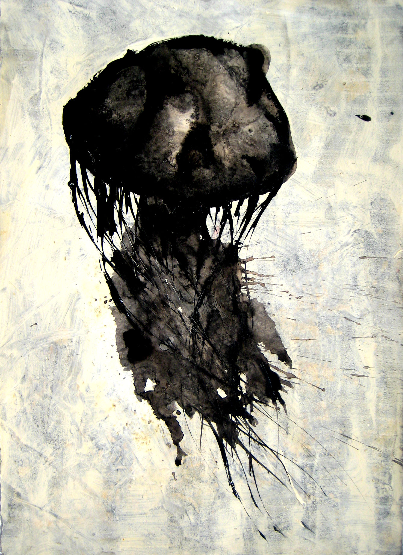Medusa negra, 2016