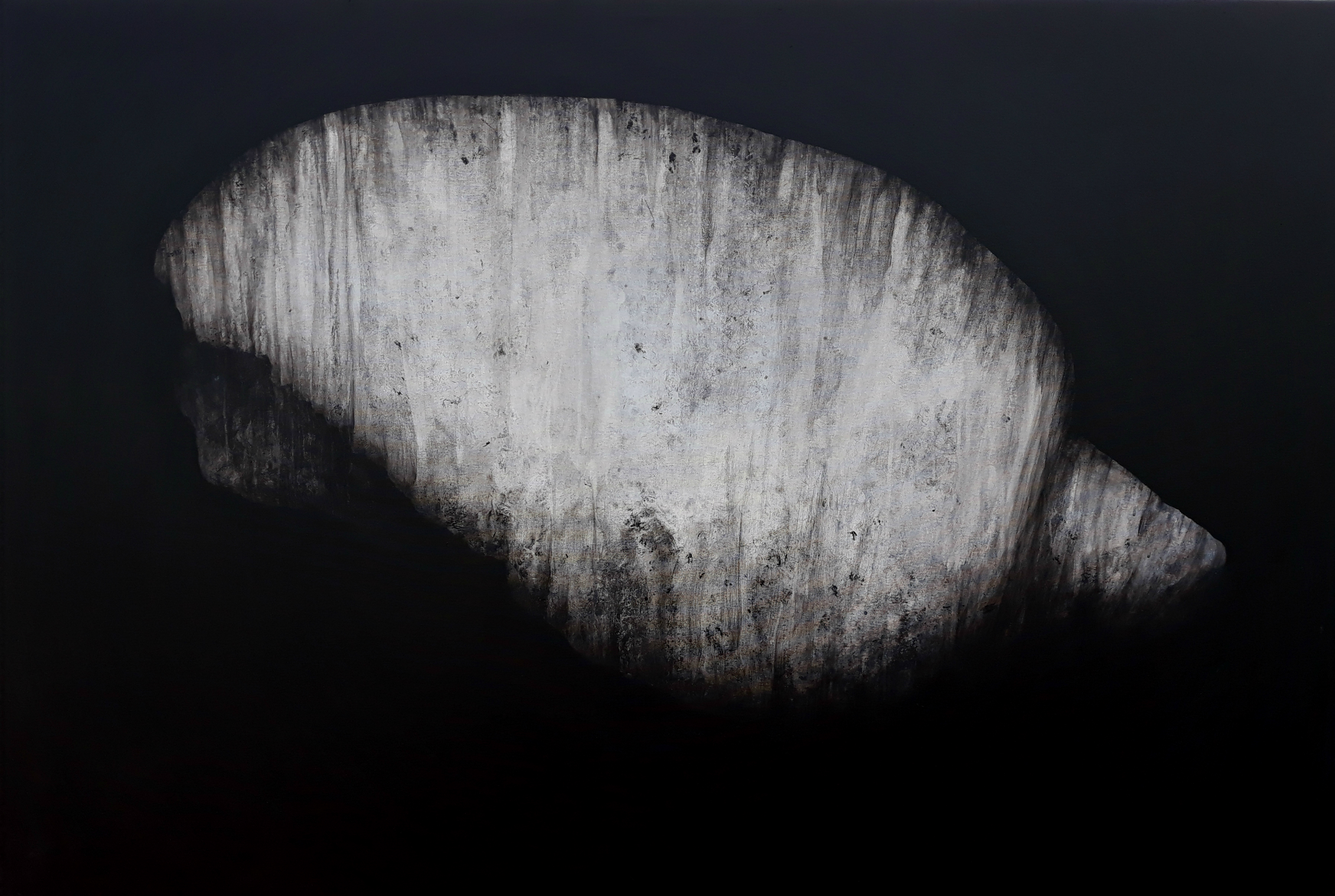 Panspermia 4.1, 2019