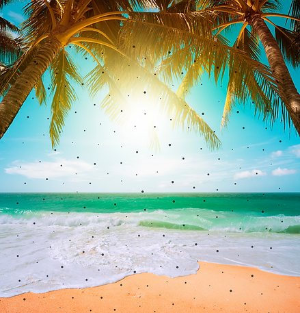 Design sem nome (80).png