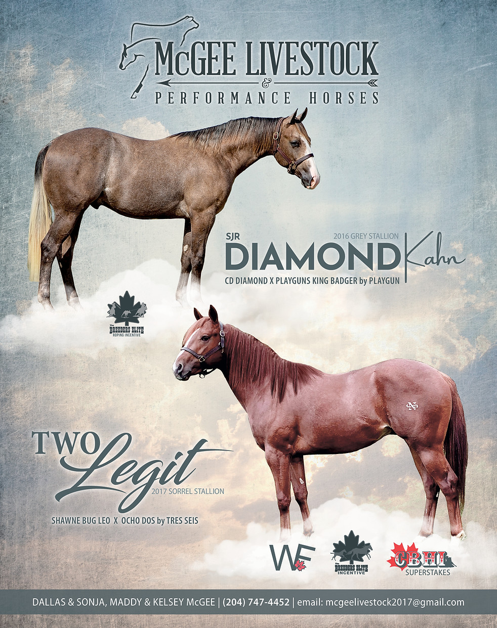 McGeeRanchAd.jpg
