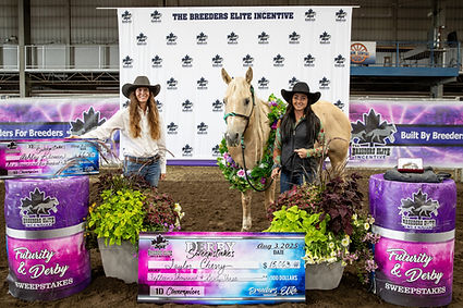 CHECK PHOTO Derby Sweepstakes 1D Champion - Taylor Cherry - Blazin Sugar Daddy.jpg