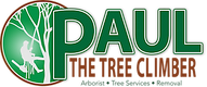 Paul the Tree Climber