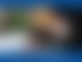 Insurance Automation: The Need of the Hour