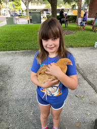A young girl holding a chicken