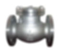 Check Valve
