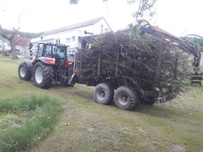 Aufforsten des Waldes