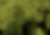 Header Hintergrundbild.jpg