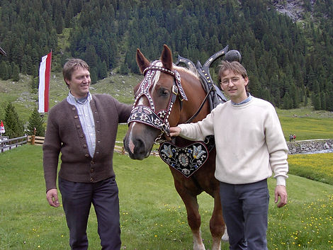Pferdegeschirr
