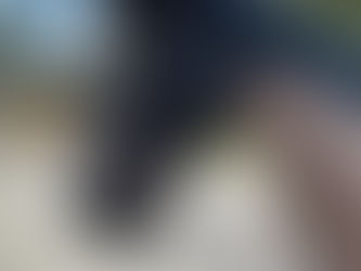 Welcome to our new website!