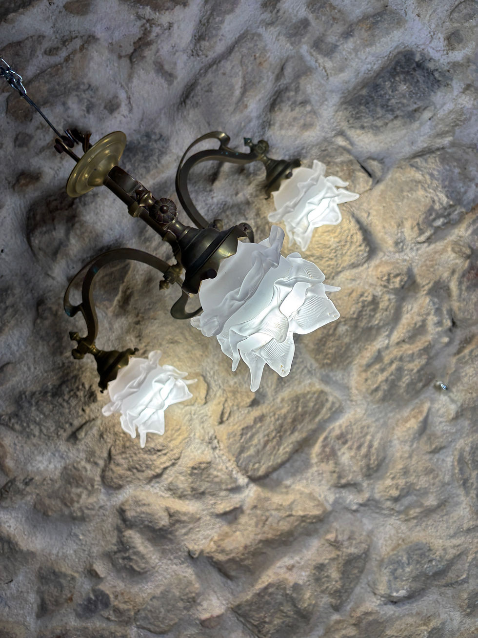 Thumbnail: French bronze art nouveau Chandelier with vienne glass double flower shades