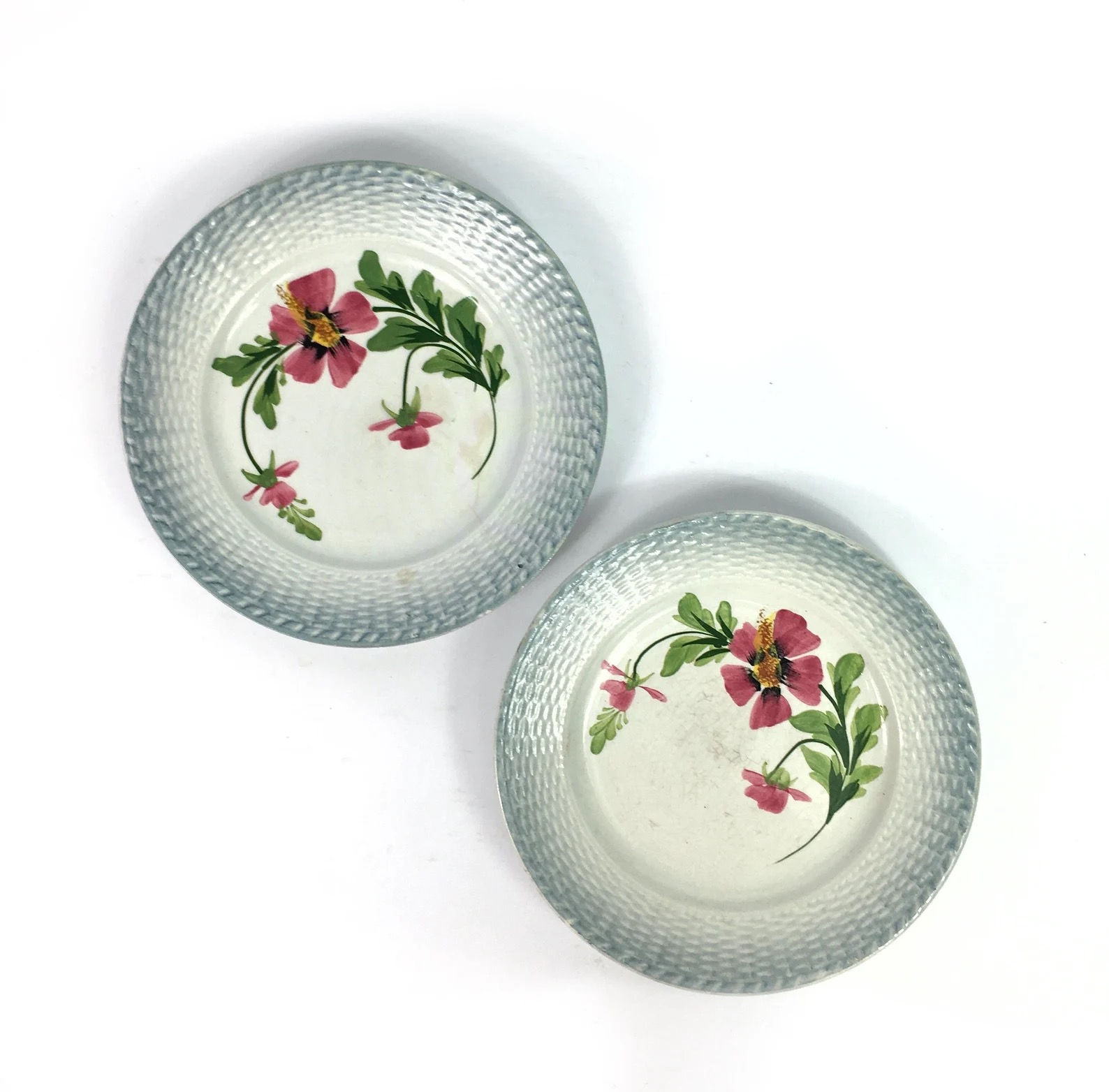 Two/2 Antique French Majolica Barbotine St Amand Hand painted plates - Aqua