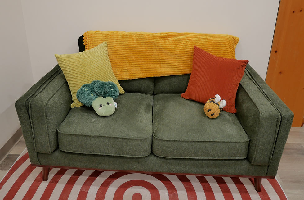 The Cozy Couch