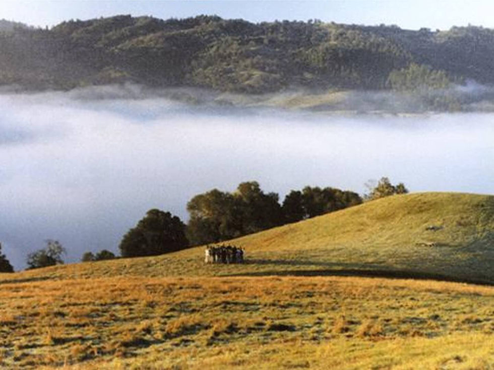 High in the hills above Boonville