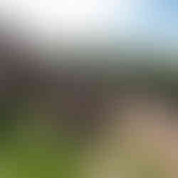 4 Castle Hike - Germany / France Boarder - European Hiking - Castle Ruins