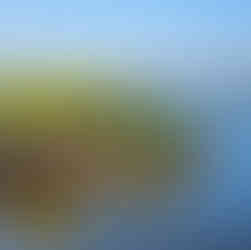 Keukenhof Gardens Tulip Gardens Spring Flower Displays Lisse, Netherlands Dutch Floral Park Tulip Festival Flower Shows in Netherlands Keukenhof Attractions Botanical Gardens Dutch Horticulture Floral Design Exhibitions Keukenhof Tickets Best Time to Visit Keukenhof Tulip Fields Gardens in South Holland