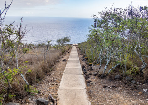 A stunning view captured along the Makapuʻu Lighthouse Trail in Oʻahu, Hawaii, featuring breathtaking coastal landscapes, iconic landmarks, and unique flora. This popular, family-friendly hike offers picturesque scenery and memorable experiences for all ages.