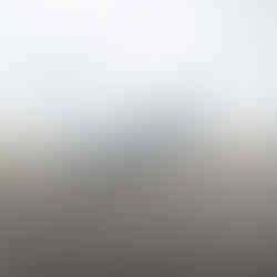 grand est mondial air ballon festival 