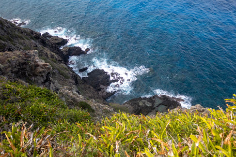 A stunning view captured along the Makapuʻu Lighthouse Trail in Oʻahu, Hawaii, featuring breathtaking coastal landscapes, iconic landmarks, and unique flora. This popular, family-friendly hike offers picturesque scenery and memorable experiences for all ages.