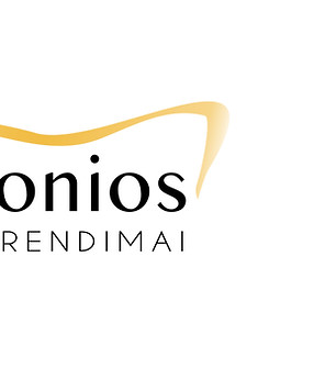 vonios-sprendimai_mockup3.jpg