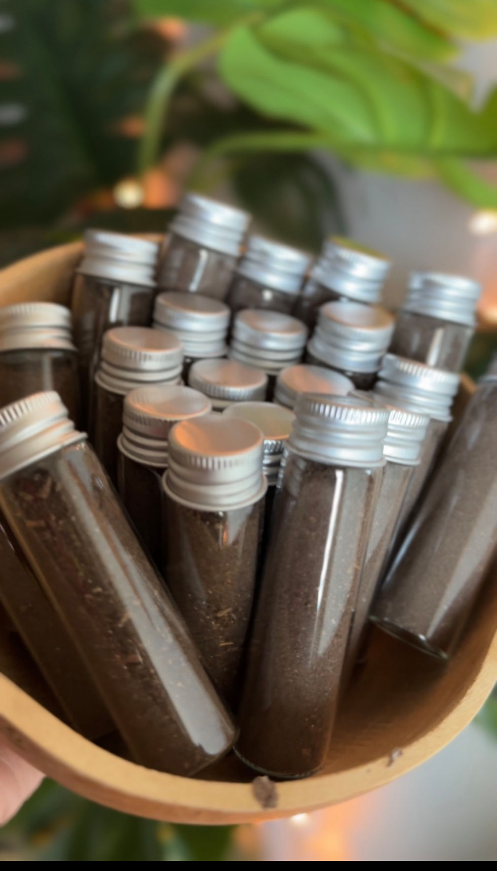 Thumbnail: Bank Dirt and Ritual Kit