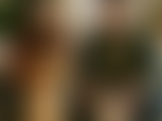 Assurance animaux : chiens et chats, de vrais assurés comme les autres