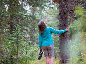 Benefits of Grounding or Earthing.