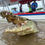 Thumbnail: Crocodile River