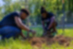 Food Forest Planting