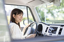 Companion assisting with driving
