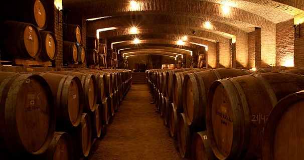 vinicola-undurraga-1223456 (2).png