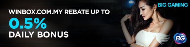 Big Gaming 0.5% Daily bonus