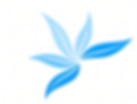 Gemini_Generated_Image_fxgoihfxgoihfxgo_edited.jpg