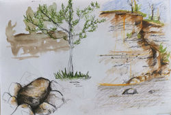 58461834_290483261827753_584128437157888