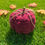 Thumbnail: Chunky Knit Pumpkins