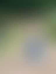 Finding Community in Unexpected Places