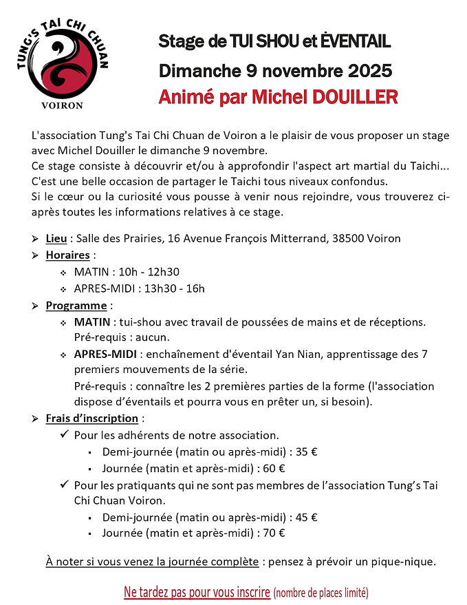 stage Tai chi chuan - Tui Shou - éventail.jpg