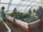 Redlands Community College Greenhous