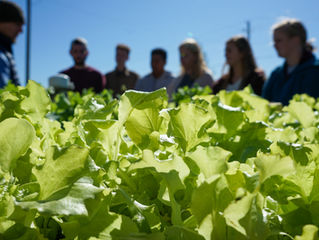 An Innovative Partnership with TU Students