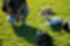 Photo Jan 20 2025, 2 40 36 PM_edited.jpg