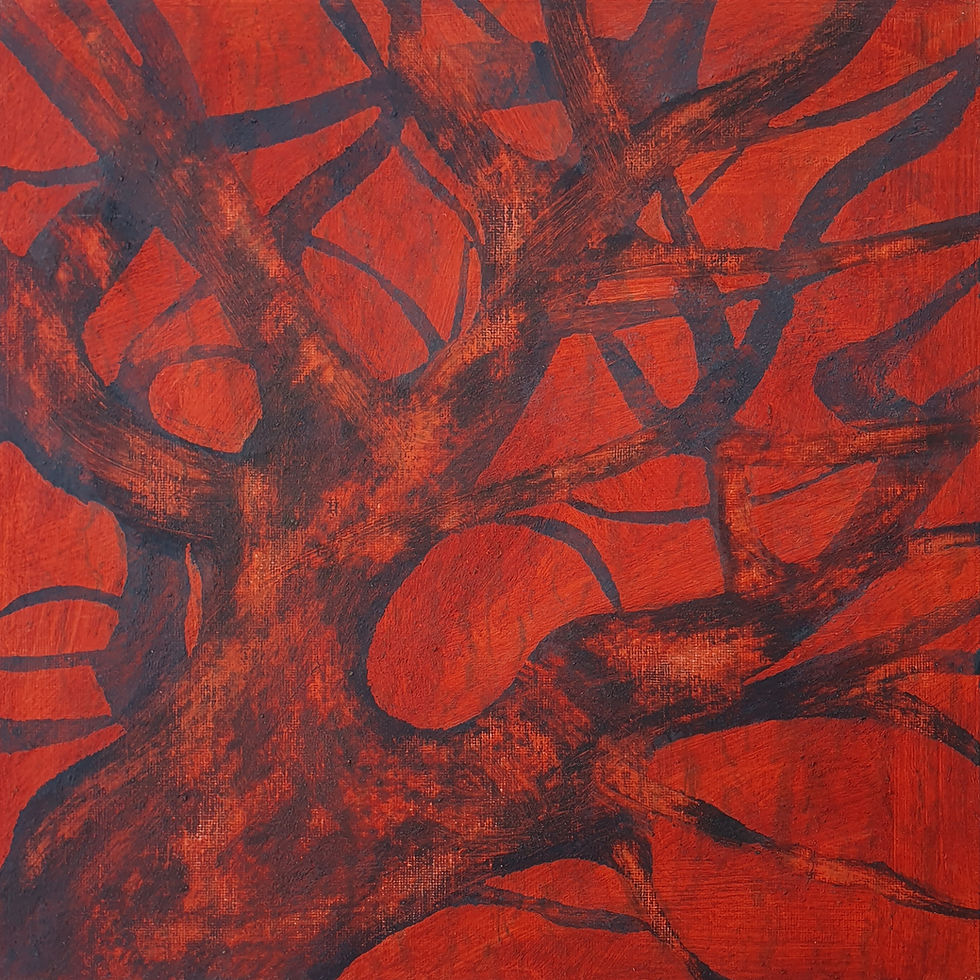 Capas III | 33cms x 33cms