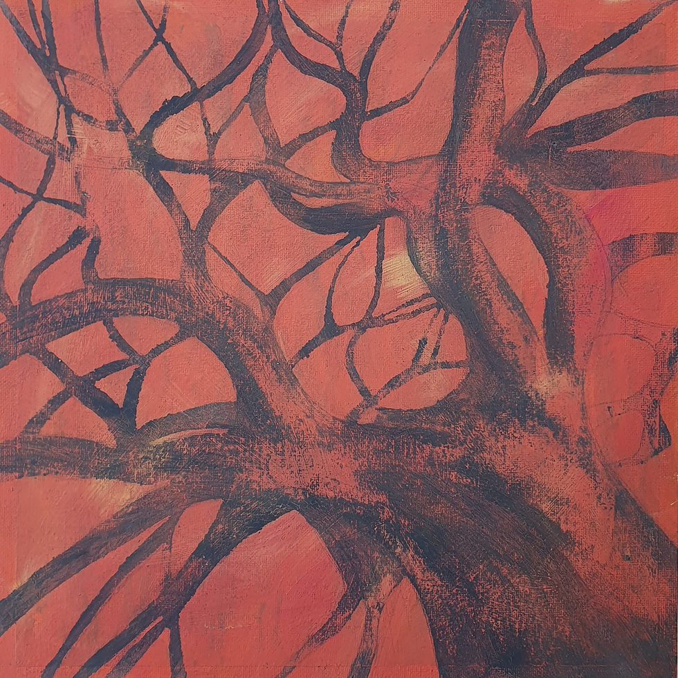 Capas II | 33cms x 33cms