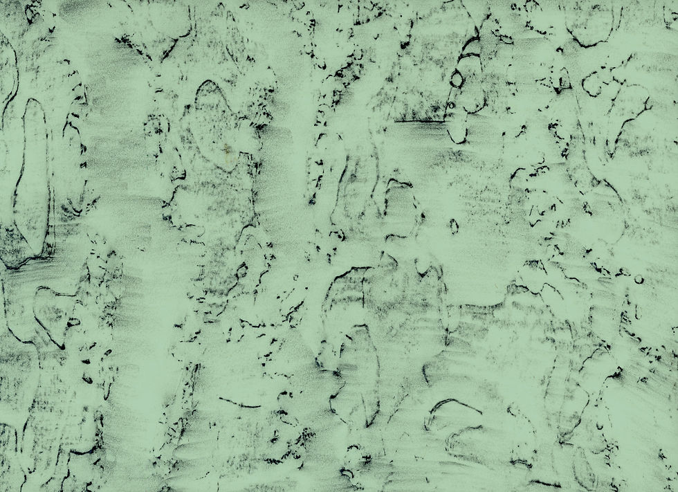 Thumbnail: Pinus pinea | stone pine. Andalucía, Spain.           36º33'20.7"N 06º08'09.9"W